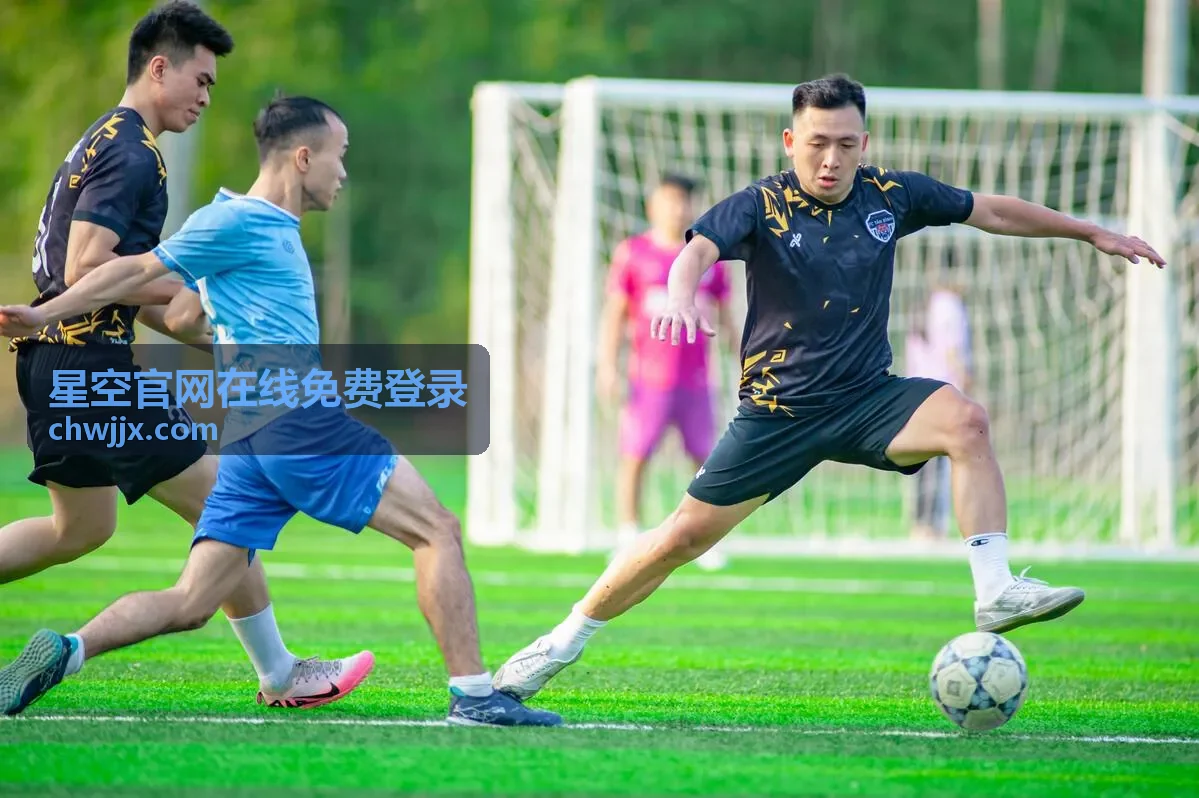 星空官网在线免费登录页面入口说明配图