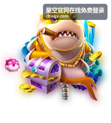 星空官网在线免费登录短信与邮箱验证对比配图