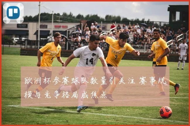 欧洲杯参赛球队数量引关注 赛事规模与竞争格局成焦点