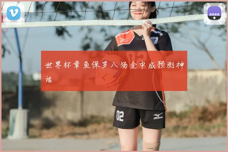 世界杯章鱼保罗八场全中成预测神话